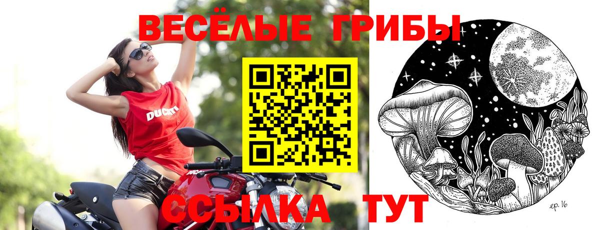 Псилоцибиновые грибы MAGIC MUSHROOMS Новокубанск