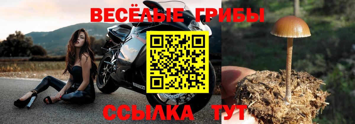 Псилоцибиновые грибы GOLDEN TEACHER  Псилоцибиновые грибы мухоморы  Новокубанск  Вход с VPN 